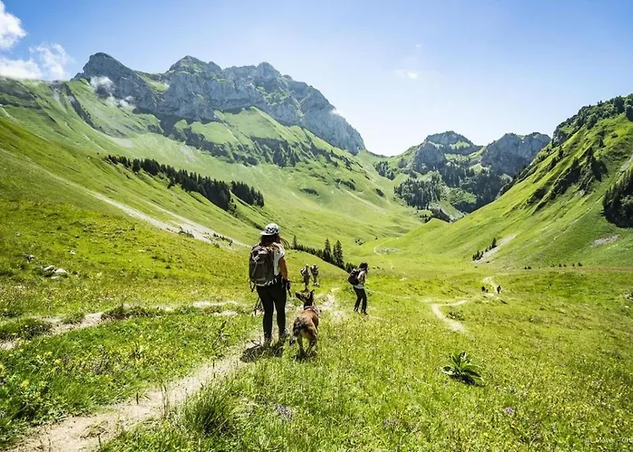 Rsa18 Swimming Pool & Center 6 Pers Châtel